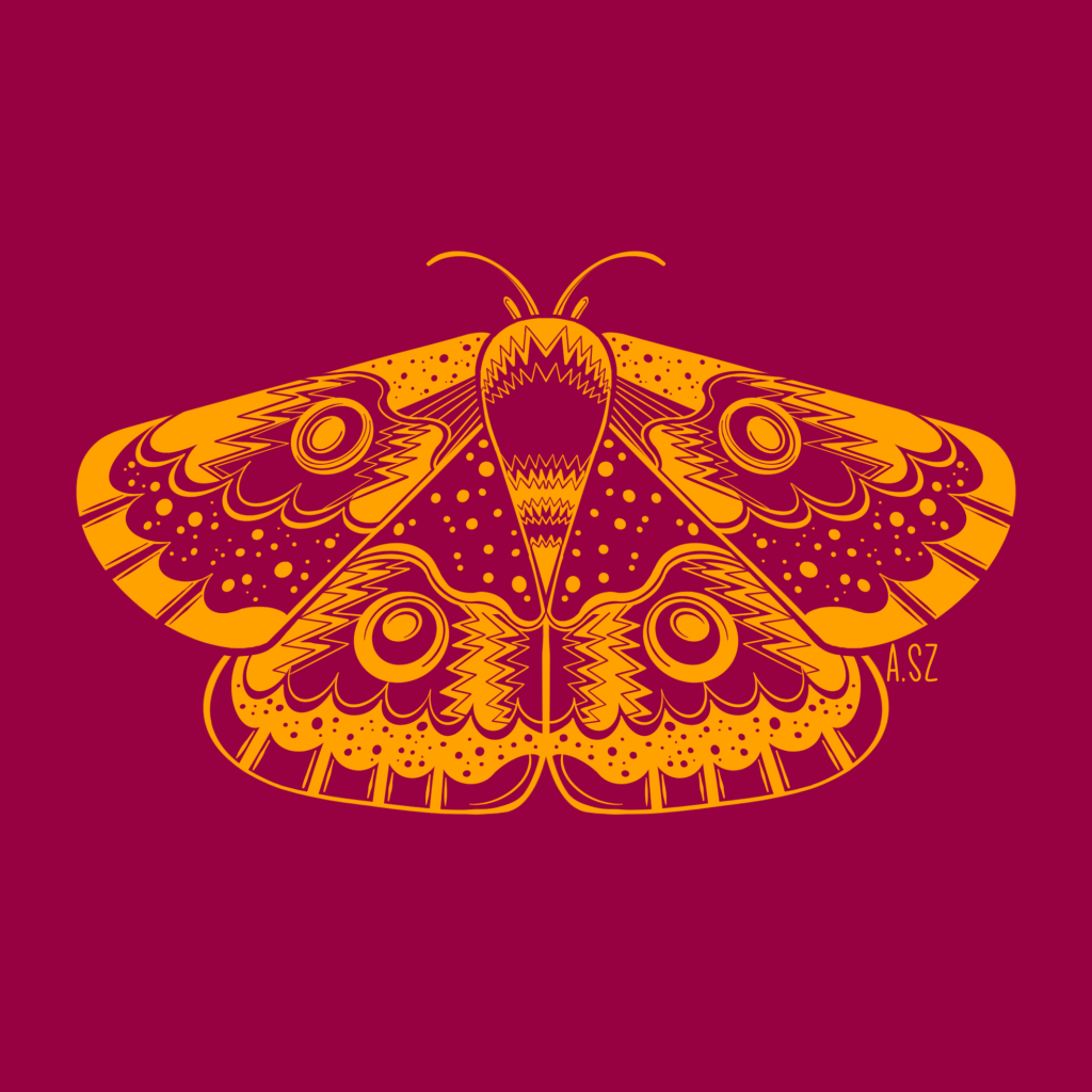 graphic illustration